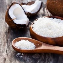 پودر نارگیل خشک دلایت