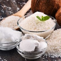 پودر نارگیل چرب سالونیک